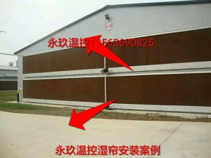 草莓视频下载安卓安装现场